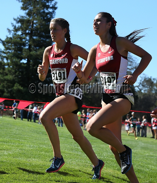 2013SIXCCOLL-098.JPG - 2013 Stanford Cross Country Invitational, September 28, Stanford Golf Course, Stanford, California.